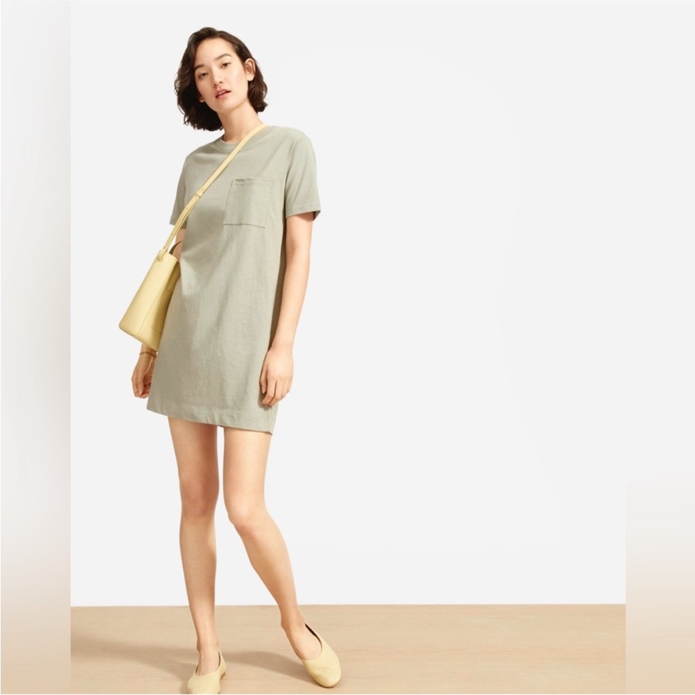 Everlane Organic Cotton Weekend Tee Dress